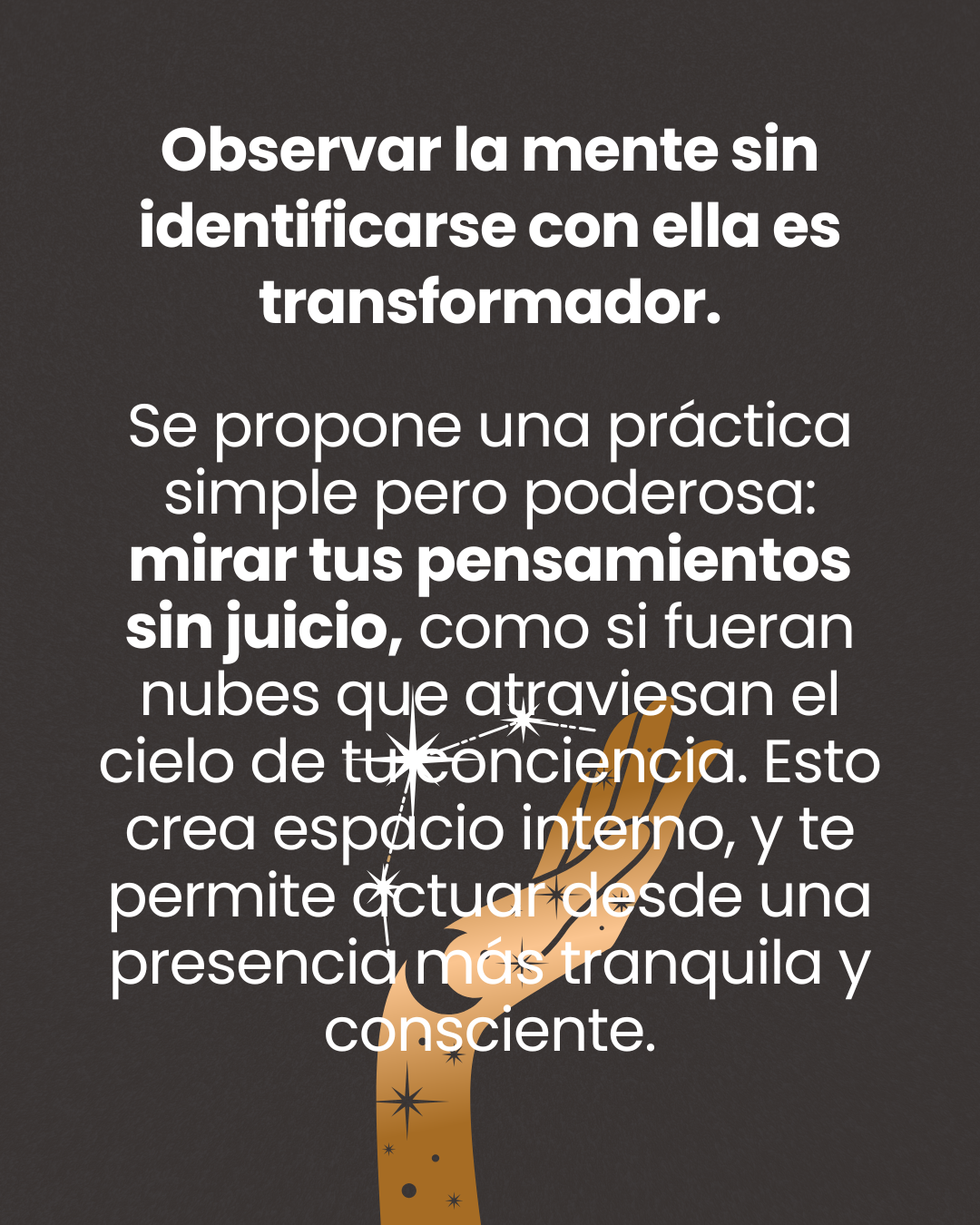Resumen 5